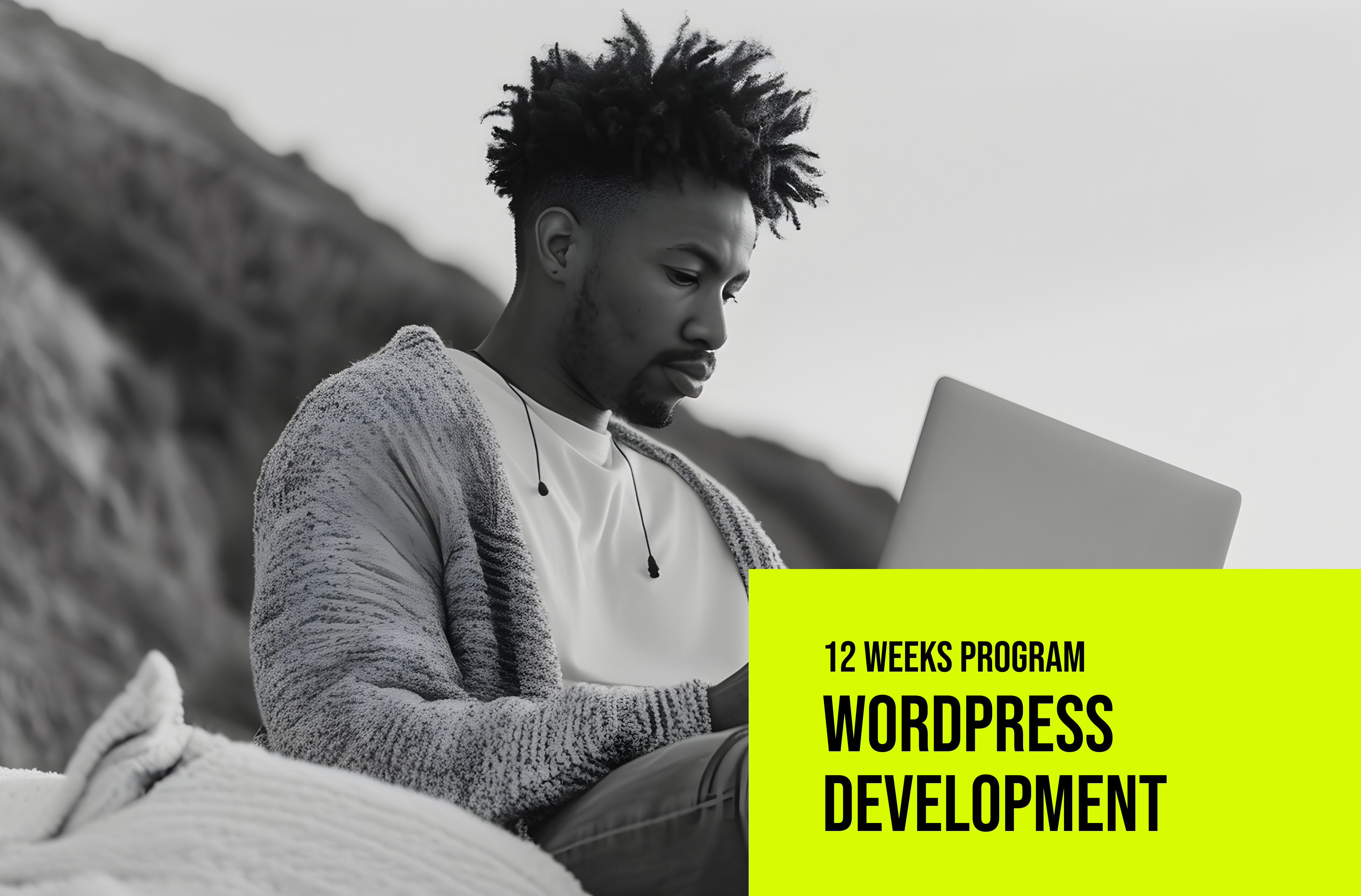 wordpress developer program in madeira